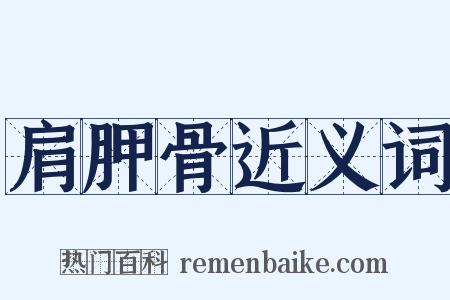 肩胛骨近义词是什么意思的图片